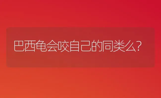 巴西龟会咬自己的同类么？ | 动物养殖问答