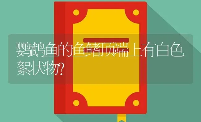 鹦鹉鱼的鱼鳍顶端上有白色絮状物？ | 鱼类宠物饲养