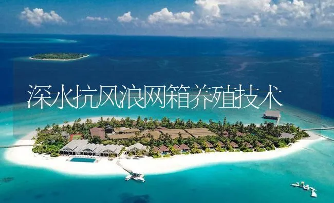 深水抗风浪网箱养殖技术 | 海水养殖技术