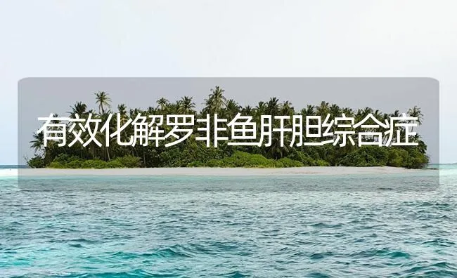 有效化解罗非鱼肝胆综合症 | 海水养殖技术