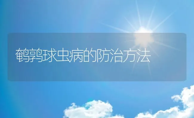 鹌鹑球虫病的防治方法 | 动物养殖学堂