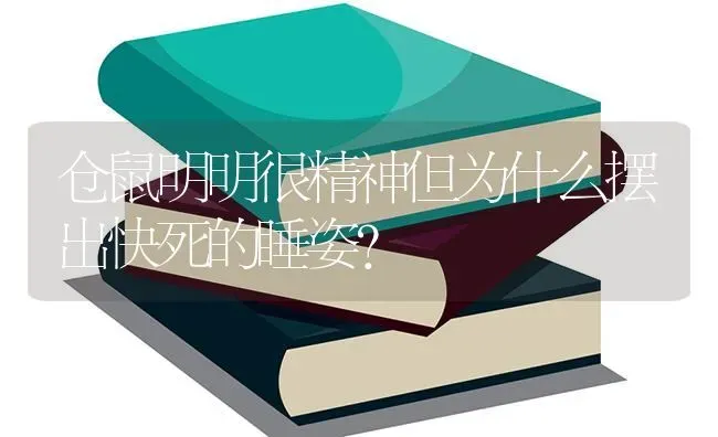 小英短老爱叫为什么？ | 动物养殖问答