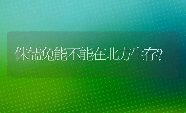 侏儒兔能不能在北方生存？ | 动物养殖问答