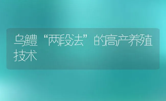 乌鳢“两段法”的高产养殖技术 | 动物养殖饲料