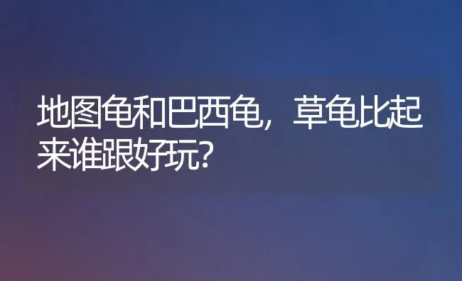 地图龟和巴西龟，草龟比起来谁跟好玩？ | 动物养殖问答