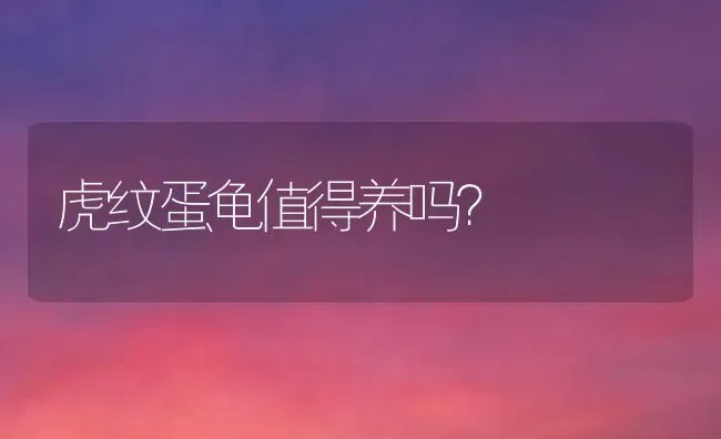 在JOJO里面这是谁的娘化？ | 动物养殖问答