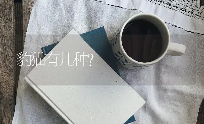 豹猫有几种？ | 动物养殖问答