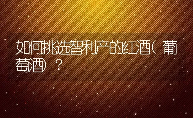 如何挑选智利产的红酒(葡萄酒)? | 动物养殖百科