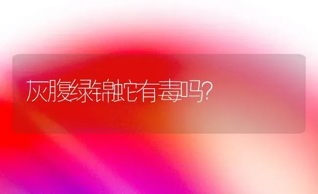 灰腹绿锦蛇有毒吗？ | 动物养殖问答