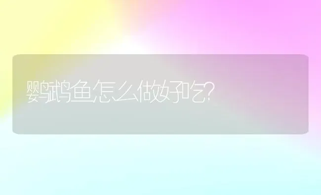 鹦鹉鱼怎么做好吃？ | 动物养殖问答