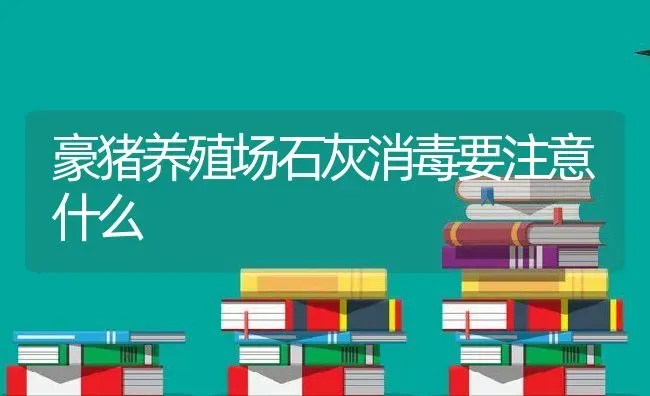 豪猪养殖场石灰消毒要注意什么 | 动物养殖百科