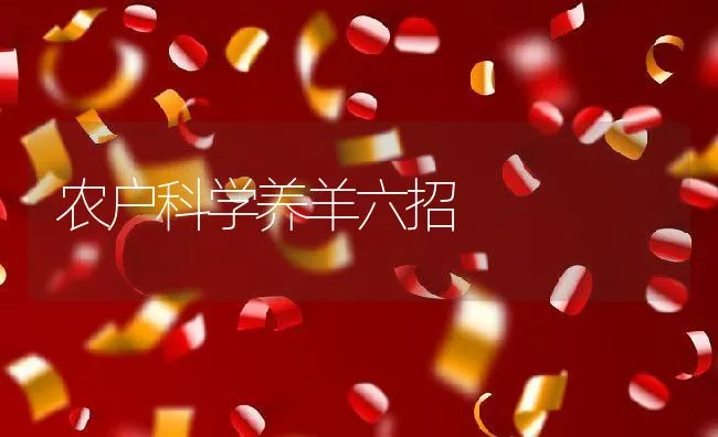 农户科学养羊六招 | 动物养殖饲料