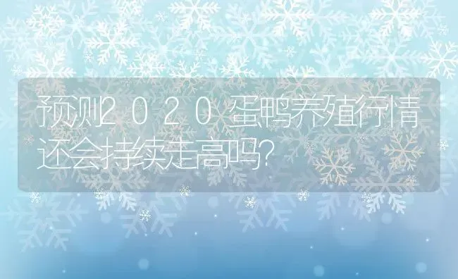 预测2020蛋鸭养殖行情还会持续走高吗？ | 动物养殖百科