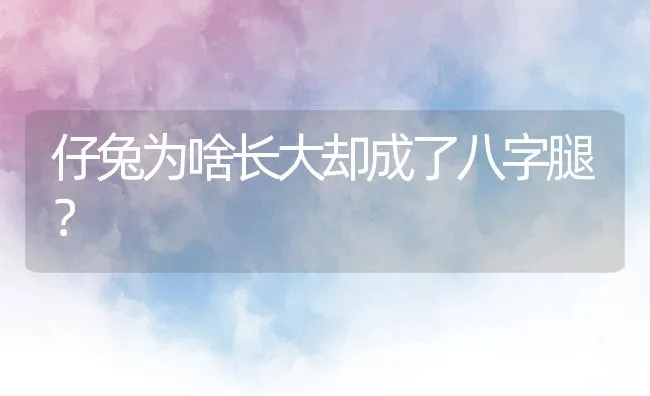 仔兔为啥长大却成了八字腿？ | 动物养殖学堂