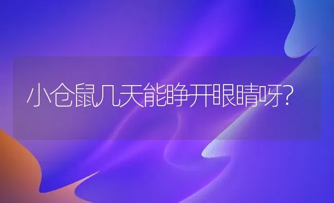 小仓鼠几天能睁开眼睛呀？ | 动物养殖问答