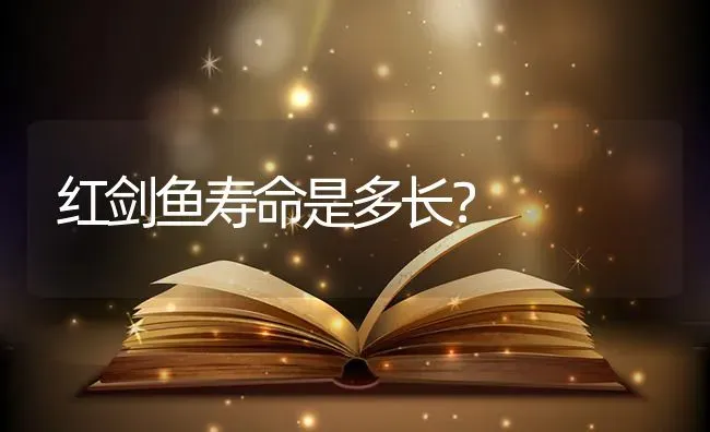 红剑鱼寿命是多长？ | 鱼类宠物饲养