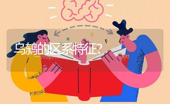 为什么猫的眼睛是墨绿色的？ | 动物养殖问答