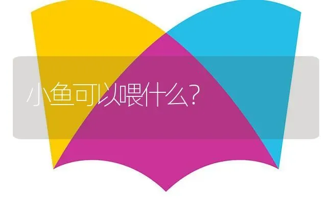 小鱼可以喂什么？ | 鱼类宠物饲养