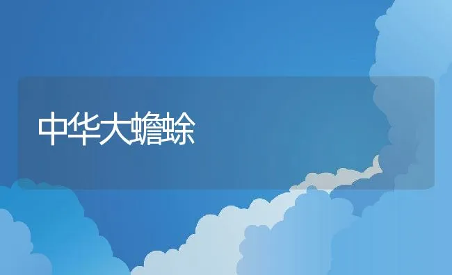 中华大蟾蜍 | 水产养殖知识