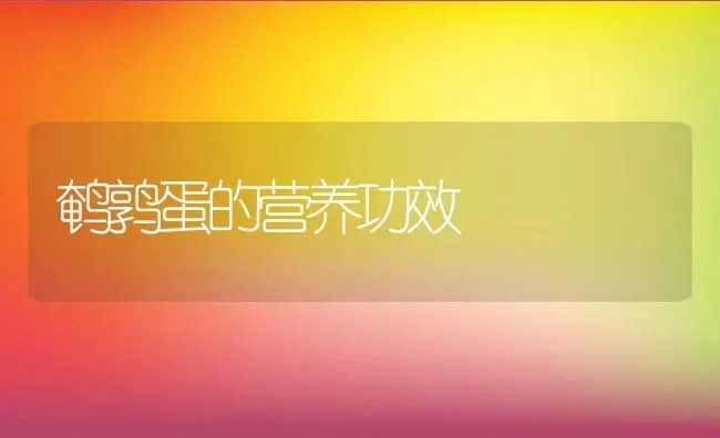 鹌鹑蛋的营养功效 | 动物养殖百科