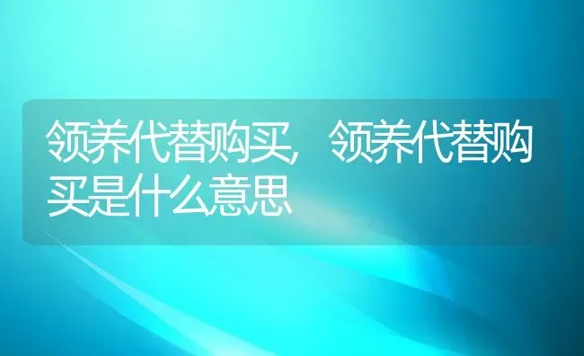 领养代替购买,领养代替购买是什么意思 | 宠物百科知识