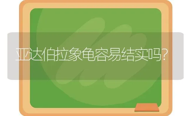 亚达伯拉象龟容易结实吗？ | 动物养殖问答