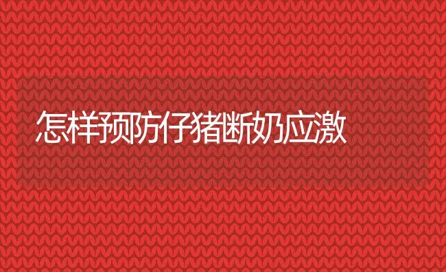 养猪者应学习哪些知识？ | 动物养殖学堂