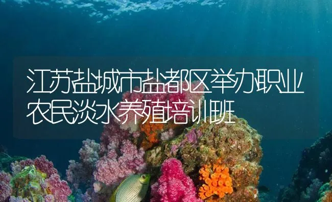 江苏盐城市盐都区举办职业农民淡水养殖培训班 | 海水养殖技术