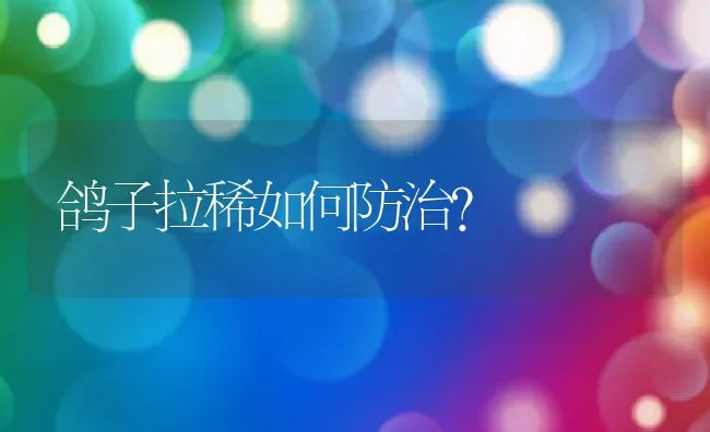 鸽子拉稀如何防治？ | 动物养殖学堂