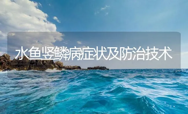 水鱼竖鳞病症状及防治技术 | 海水养殖技术