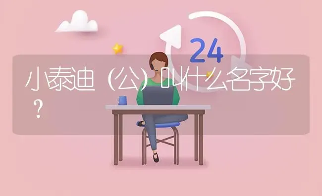 小泰迪（公）叫什么名字好？ | 动物养殖问答