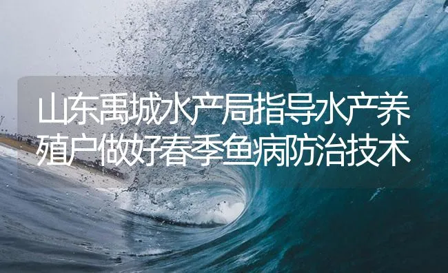 山东禹城水产局指导水产养殖户做好春季鱼病防治技术 | 海水养殖技术