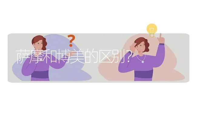 萨摩和博美的区别？ | 动物养殖问答