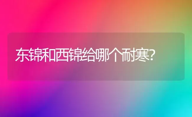 东锦和西锦给哪个耐寒？ | 动物养殖问答