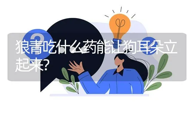 狼青吃什么药能让狗耳朵立起来？ | 动物养殖问答