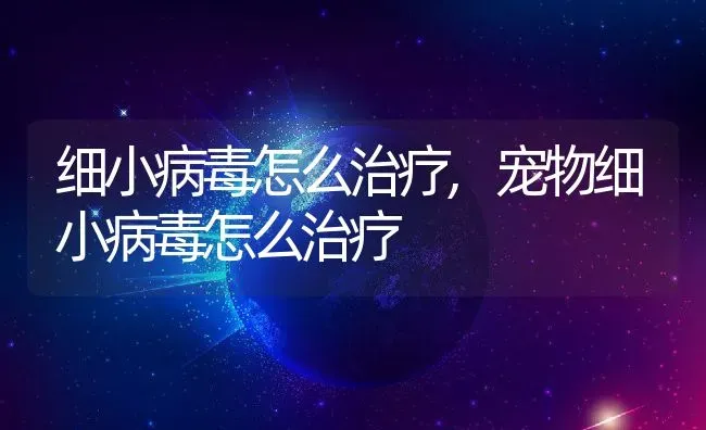 细小病毒怎么治疗,宠物细小病毒怎么治疗 | 宠物百科知识