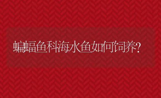 蝙蝠鱼科海水鱼如何饲养？ | 淡水养殖技术