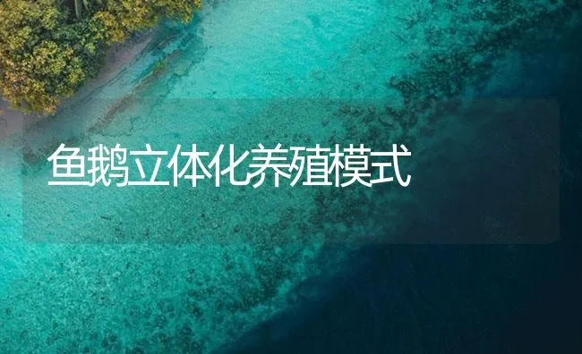 鱼鹅立体化养殖模式 | 海水养殖技术