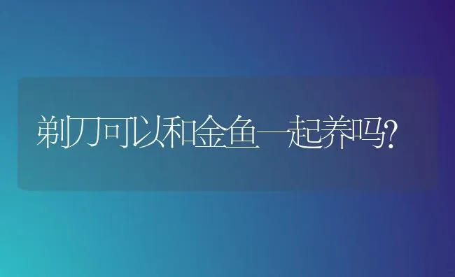 剃刀可以和金鱼一起养吗？ | 动物养殖问答