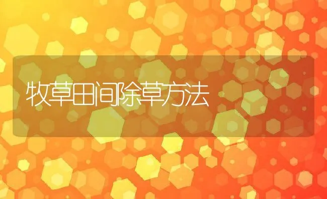 乌龟与蚯蚓混养技术 | 动物养殖饲料