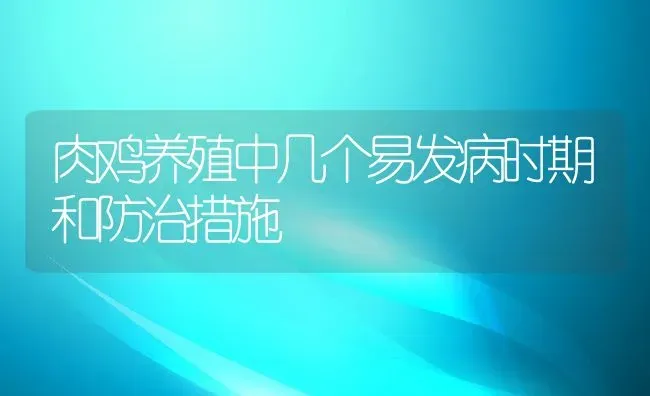 肉鸡养殖中几个易发病时期和防治措施 | 动物养殖教程