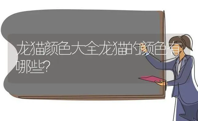 刚满月的比熊能看出来好看不好看嘛？ | 动物养殖问答