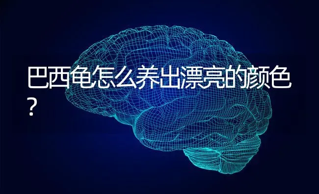 巴西龟怎么养出漂亮的颜色？ | 动物养殖问答