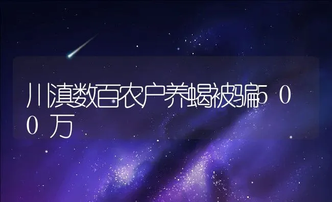川滇数百农户养蝎被骗500万 | 动物养殖饲料