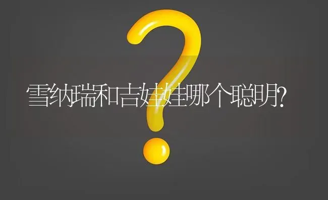 洁娃娃优缺点？ | 动物养殖问答