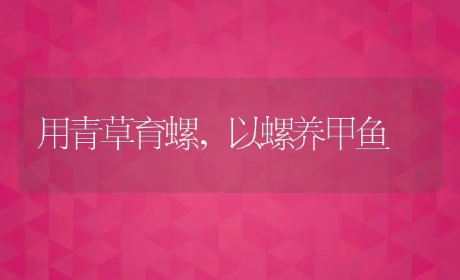 用青草育螺，以螺养甲鱼 | 水产养殖知识