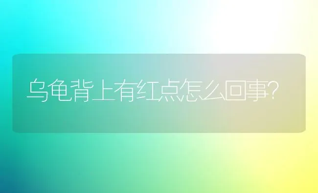 乌龟背上有红点怎么回事？ | 动物养殖问答