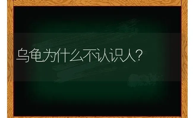 乌龟为什么不认识人？ | 动物养殖问答