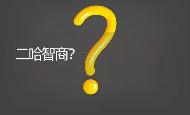 二哈智商？ | 动物养殖问答