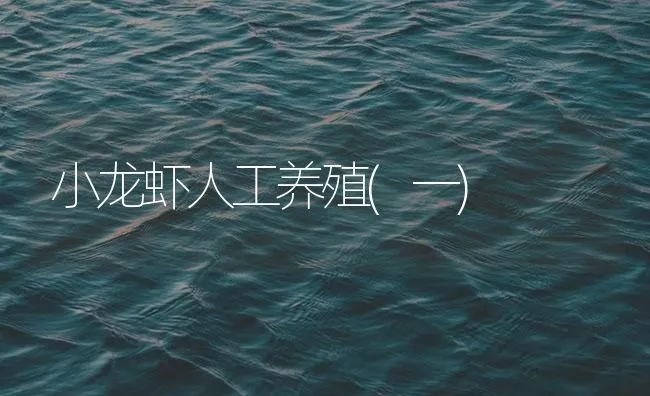 小龙虾人工养殖(一) | 海水养殖技术